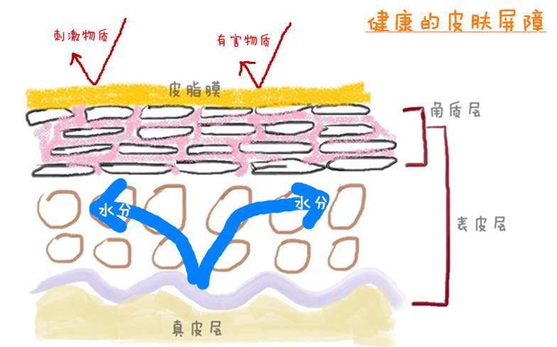 軍事迷的護(hù)膚解讀：我將合理清潔、保濕、防曬